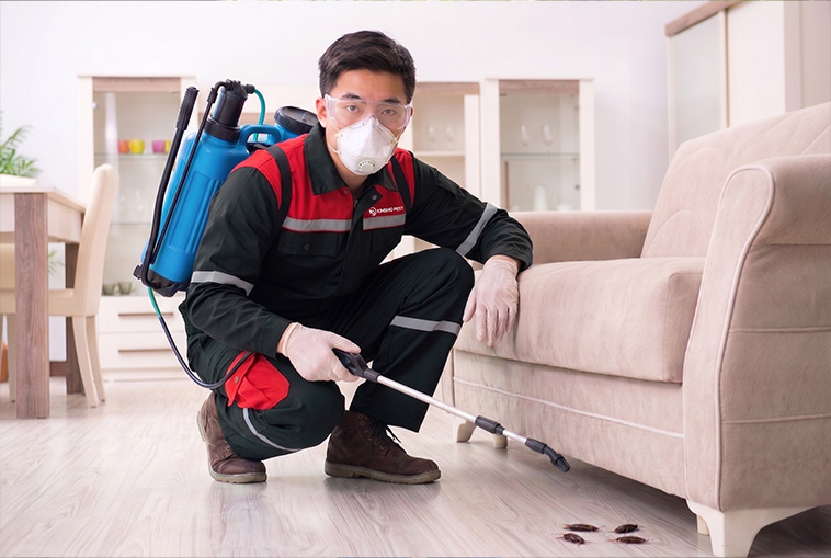 Profesional Pest Control